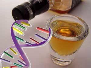 L'abuso di alcol è un importante fattore di rischio per la demenza Fattori di rischio per l'alcolismo