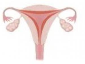 Endometriumun patologiyası: səbəbləri, diaqnozu, müalicəsi Endometrium 12 mm menstruasiya yoxdur